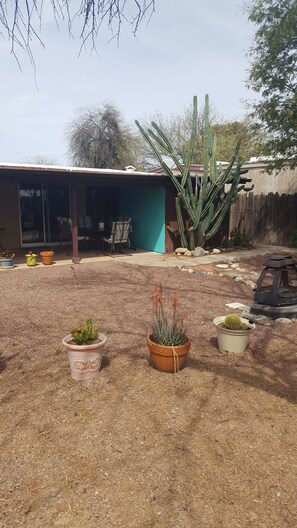 A backyard with a covered patio, a cactus, and potted plants. - Tucson Delight (Tucson)