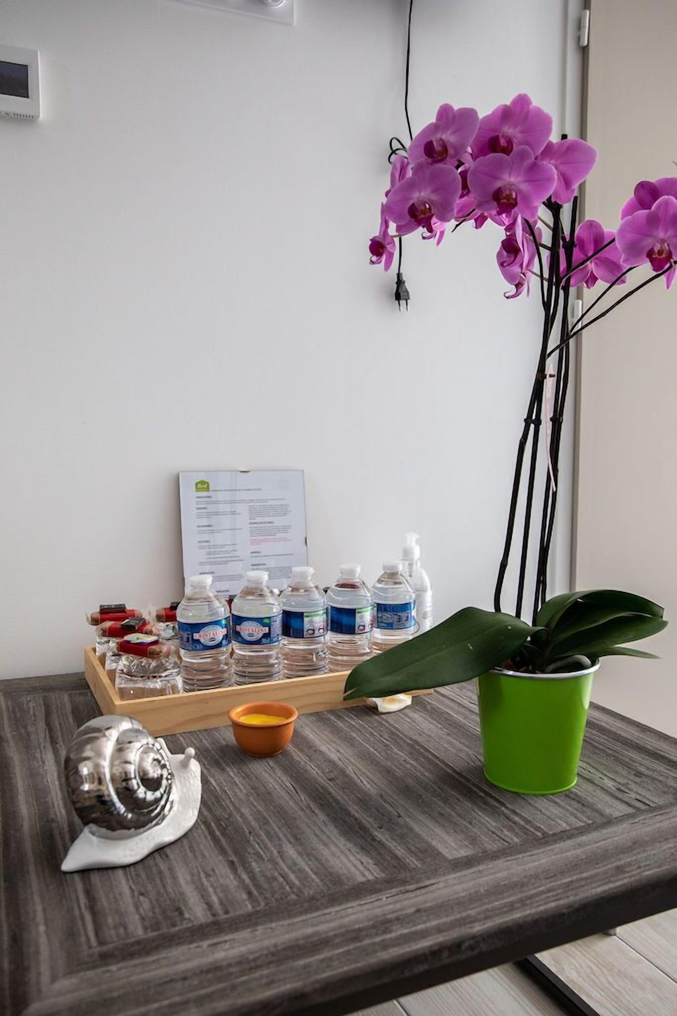 A reception desk with water bottles, a snail figurine, a green potted plant, and purple orchids.
