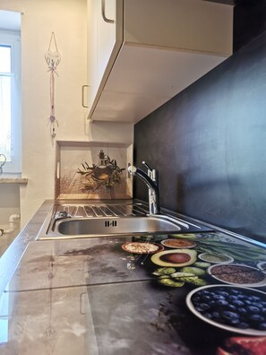 Fridge, microwave, stovetop, dishwasher