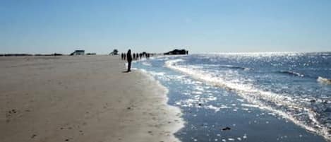 Strand