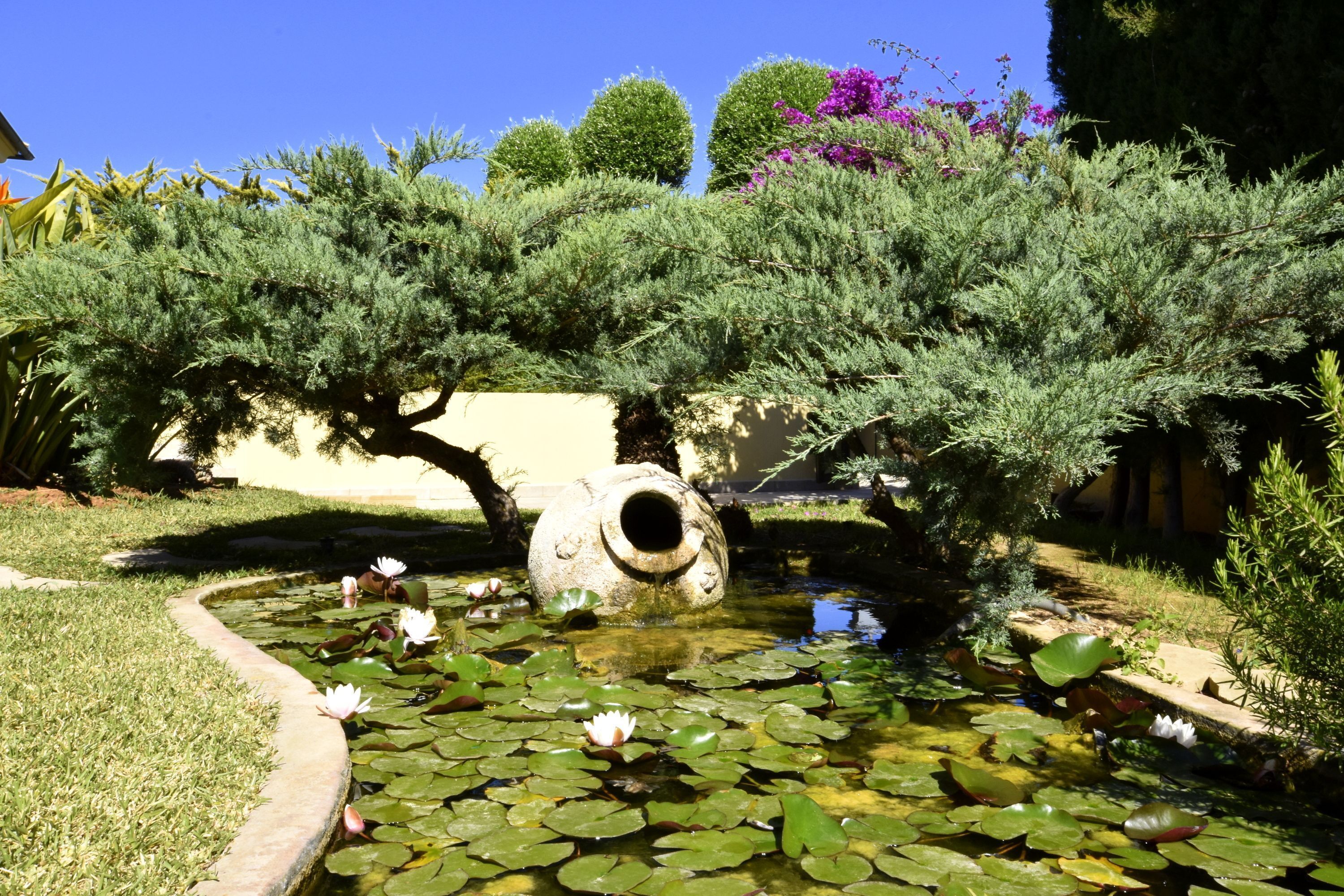 Terrein van de accommodatie