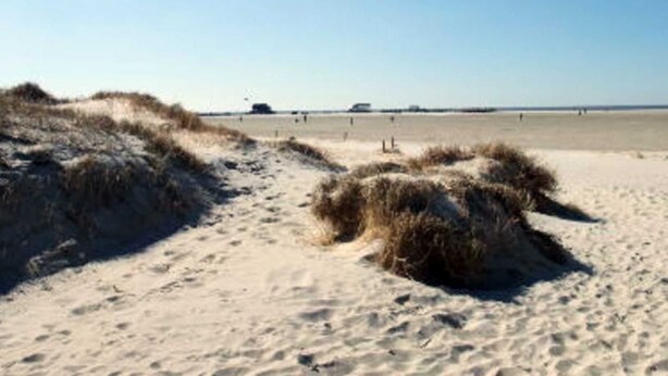 Ein sandiger Strand mit Dünen und blauem Himmel.