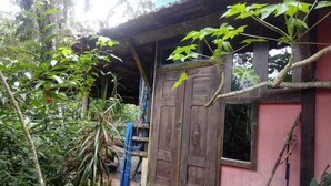 Um edifício rústico com porta de madeira e uma pequena janela, rodeado por vegetação exuberante.