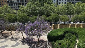 Une zone pavée, agrémentée d’arbres et bordée d’un mur en pierre.