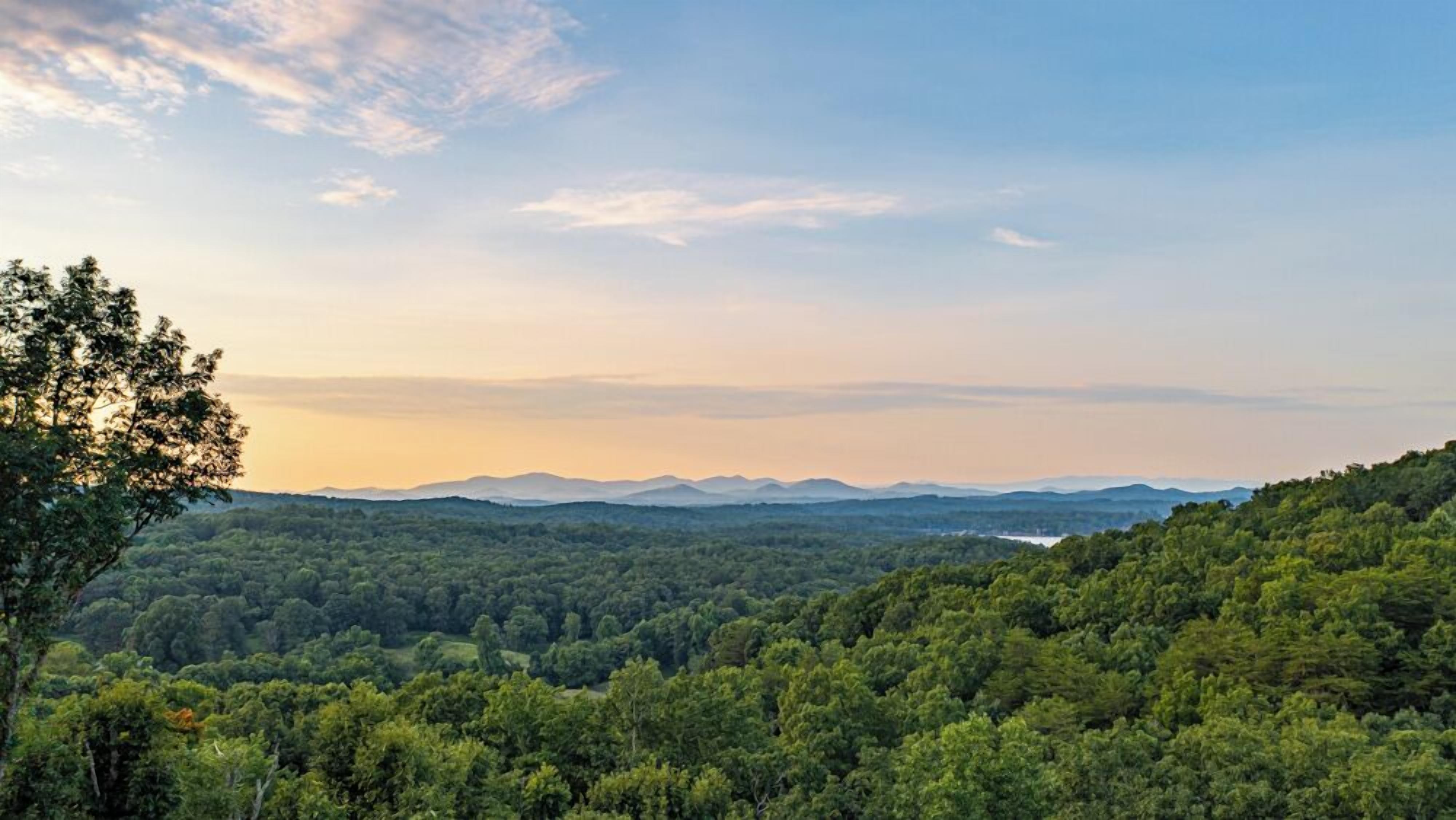 A forested landscape with a view of distant mountains and a clear sky.