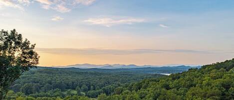 A forested landscape with a view of distant mountains and a clear sky.