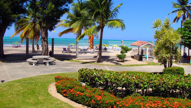 Zona frente al mar con palmeras, una playa y una piscina delimitada por una cerca.