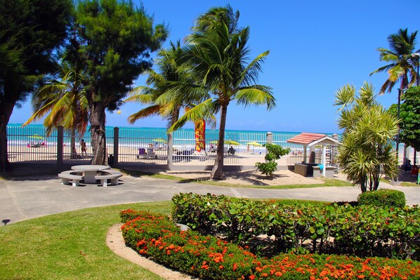 Enceinte de l’hébergement