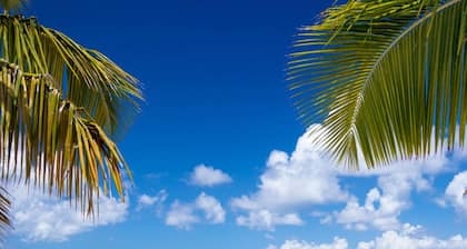 Spectacular view from this splendid secluded House overlooking the Caribbean.