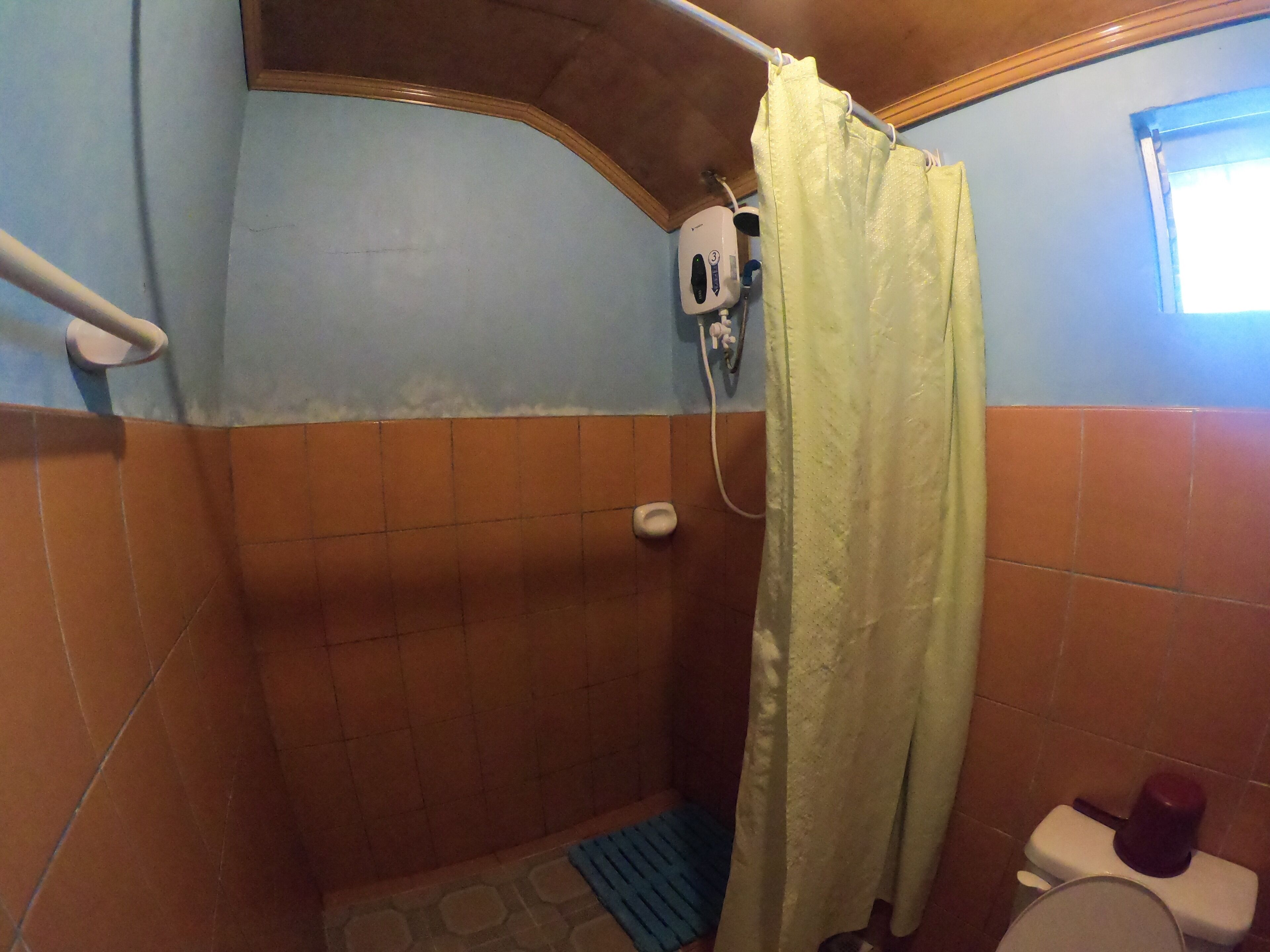 A small, enclosed shower area with a shower curtain, a handheld showerhead, and a toilet.