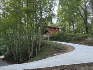 Un camino sinuoso que lleva a un edificio rojo rodeado de un bosque denso.