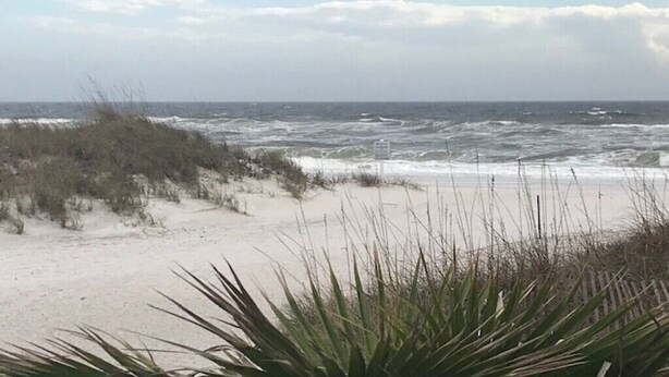 Een strand met golven die op het strand breken, zandduinen en schaarse begroeiing.
