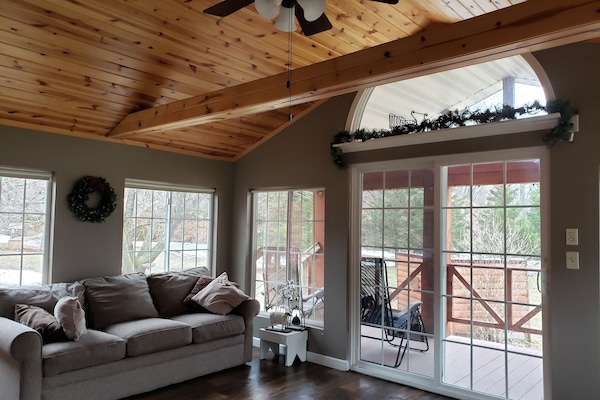 Smart TV, fireplace, DVD player, music library