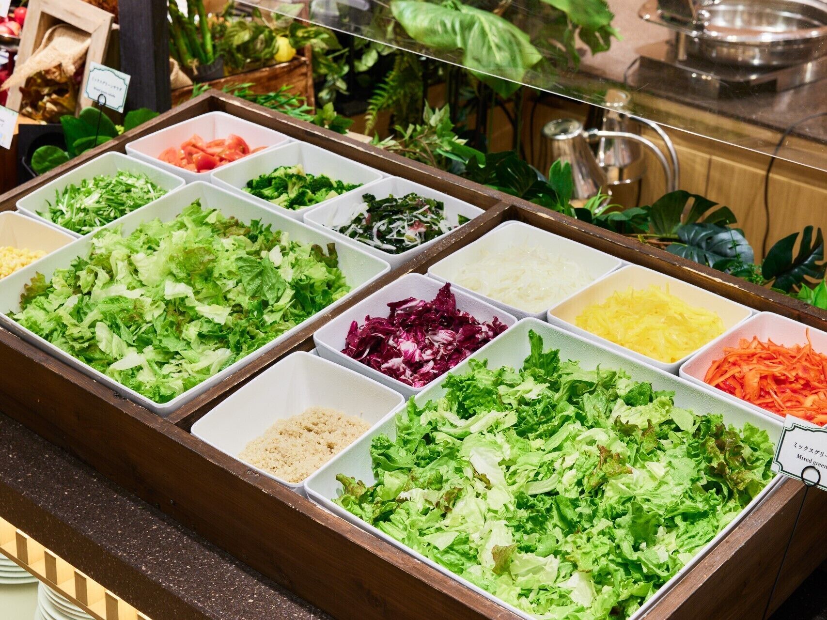 Een saladebar met verschillende soorten sla en geraspte groenten.