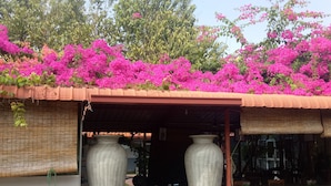 Entrada de um edifício com um alpendre coberto, vasos grandes e plantas em vasos.