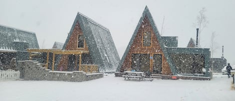 Exteriör
