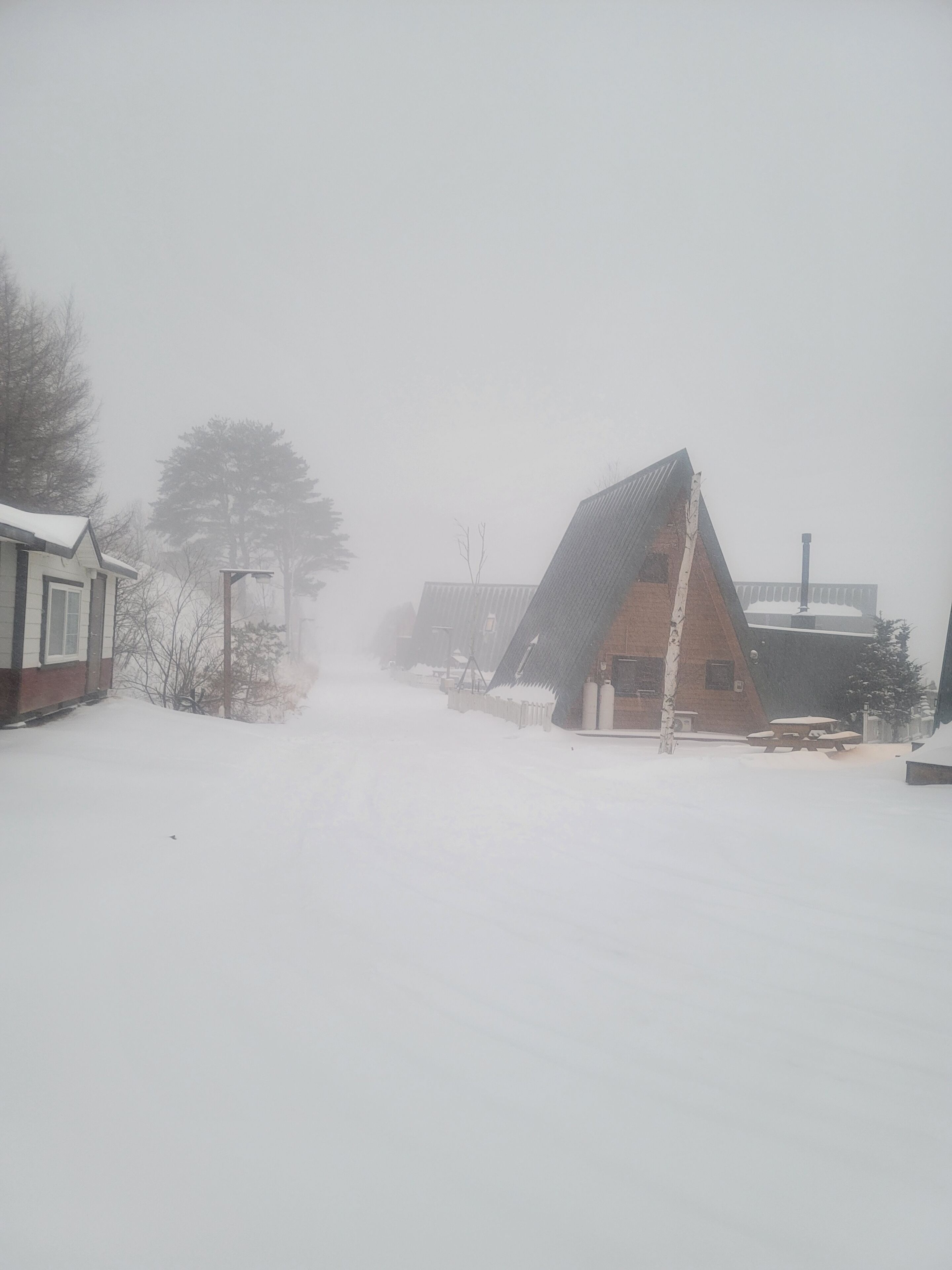 Een woonwijk met huizen die gedeeltelijk bedekt zijn met sneeuw.