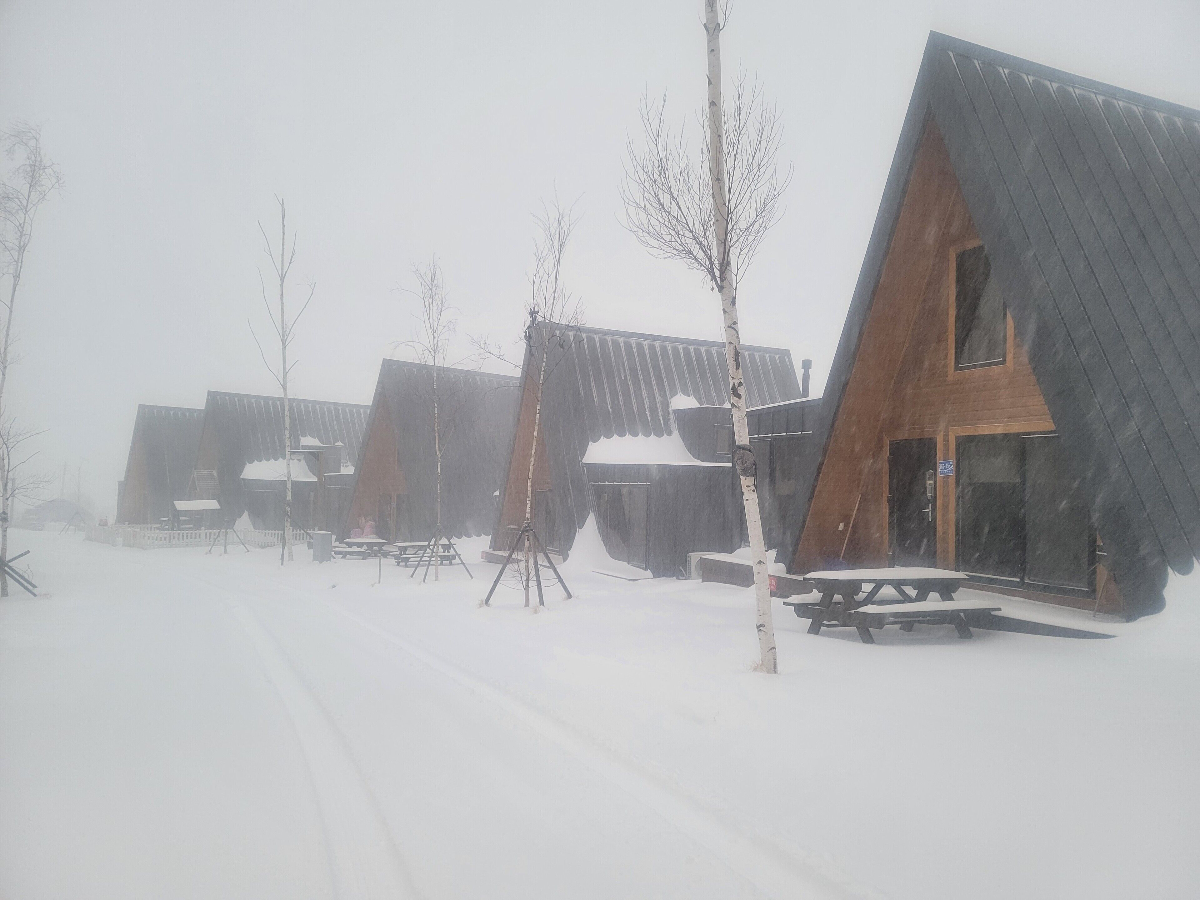 A row of modern cabins with sloped roofs, surrounded by snow-covered ground and bare trees.