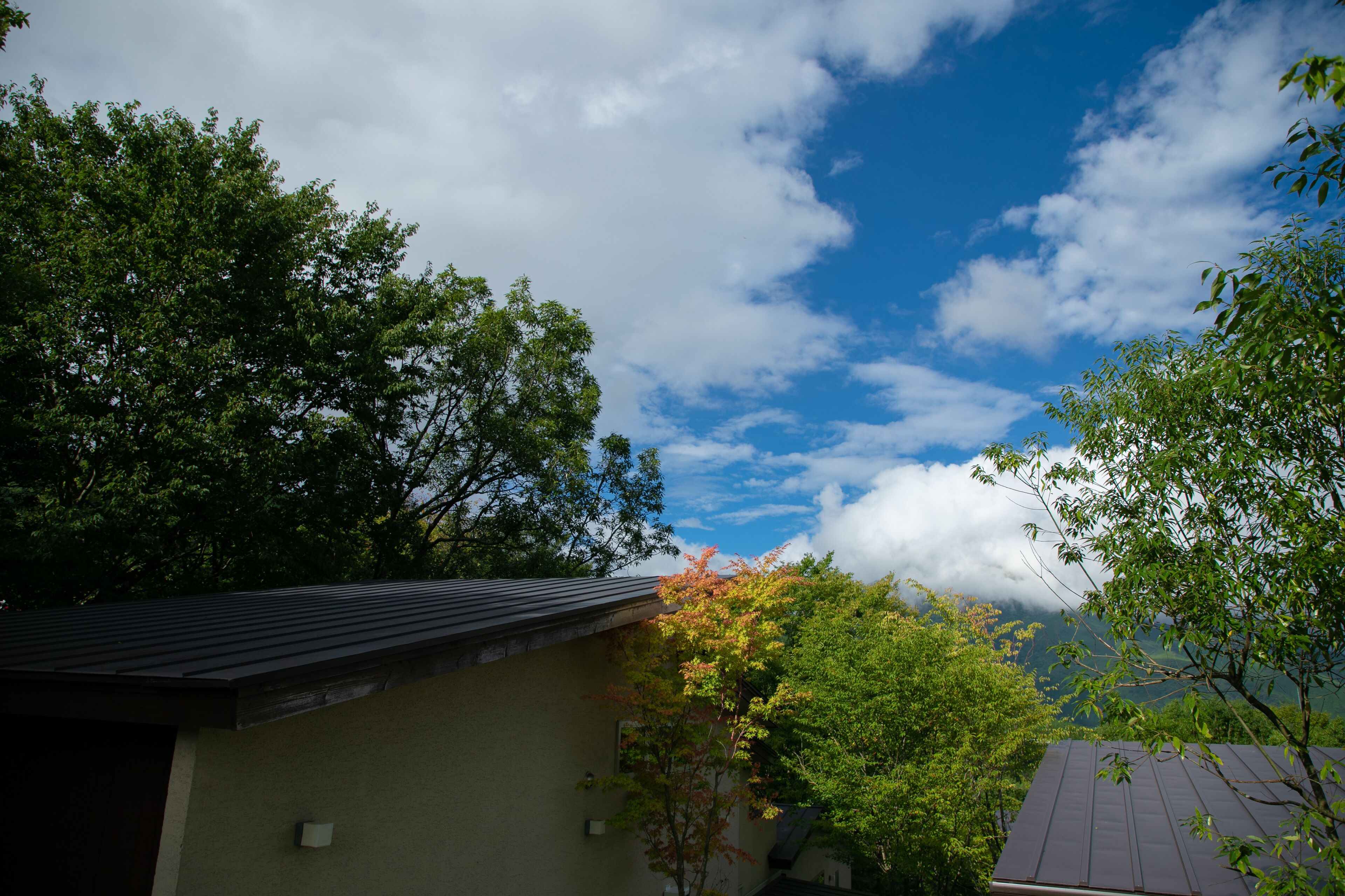 A house with a sloped roof, surrounded by trees and a partly cloudy sky.