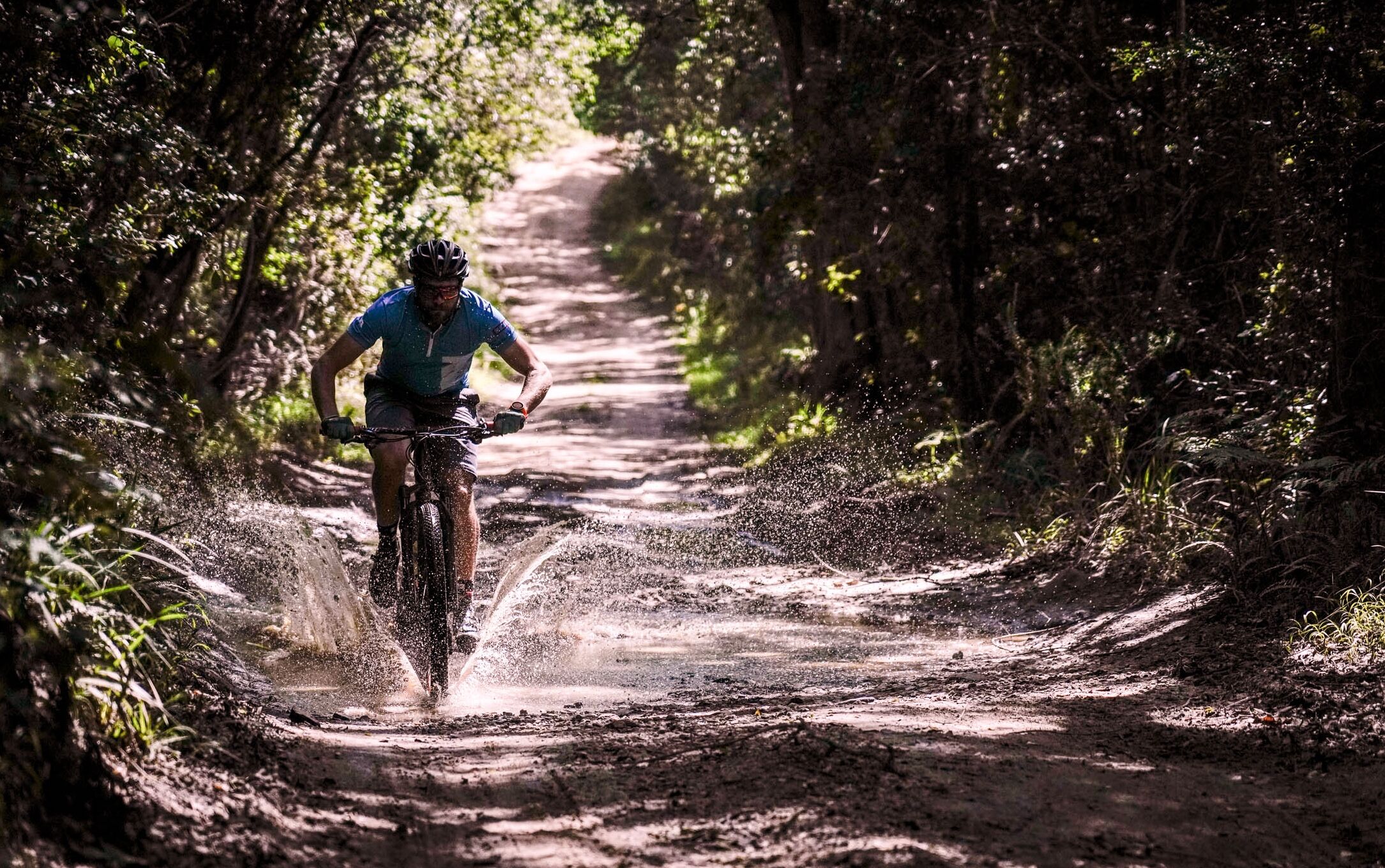 A cyclist riding on a dirt path surrounded by trees.