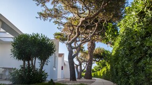 Un sendero bordeado por abundante vegetación y un edificio moderno con fachada blanca y detalles rojos.