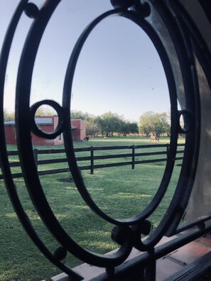 Property grounds
