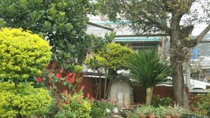 A garden with a stone pathway leading to a shrine, surrounded by various plants and trees. - Nardi-Mar Transient House (Baguio)