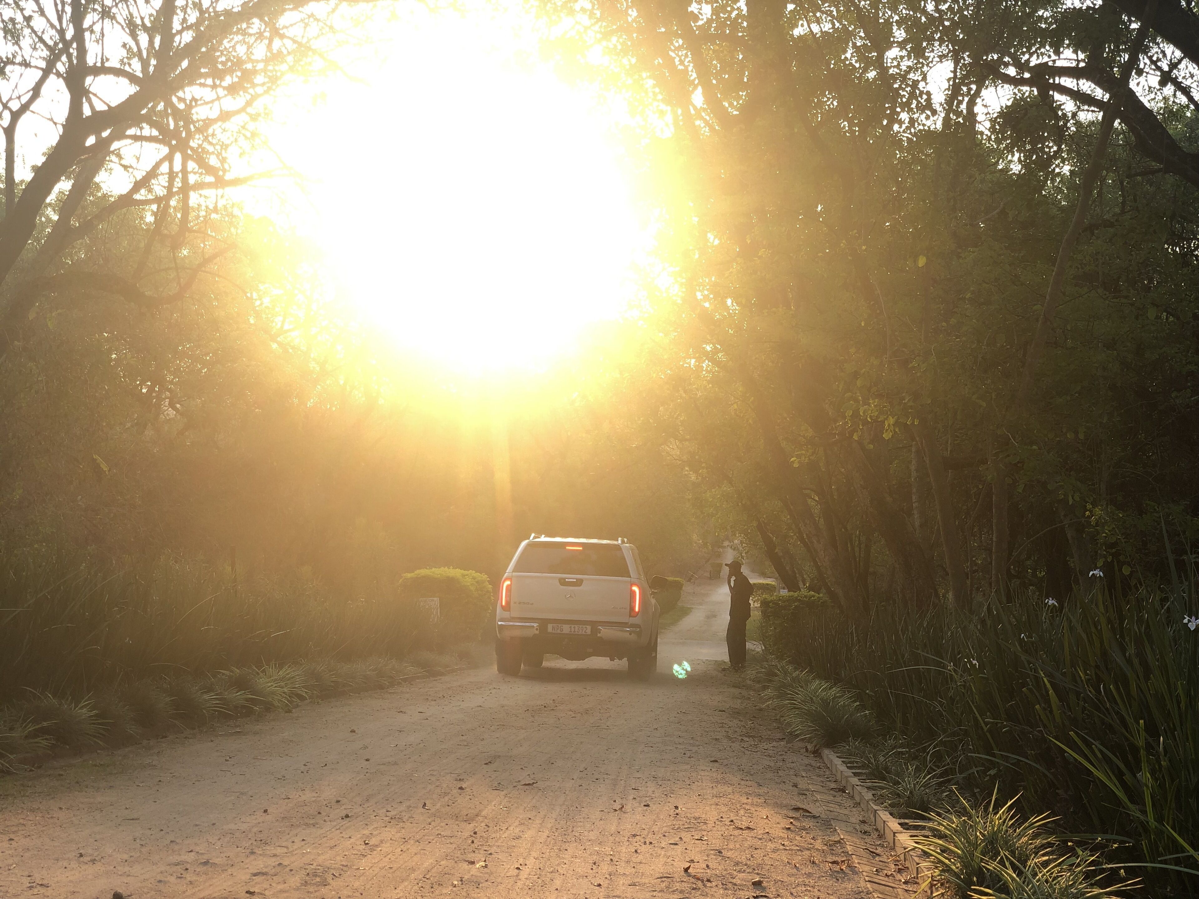 واجهة المنشأة - في المساء/الليل