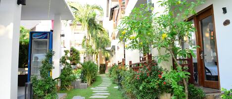 A narrow pathway with stone steps leading to a building entrance, surrounded by lush greenery and a small tree with yellow flowers.