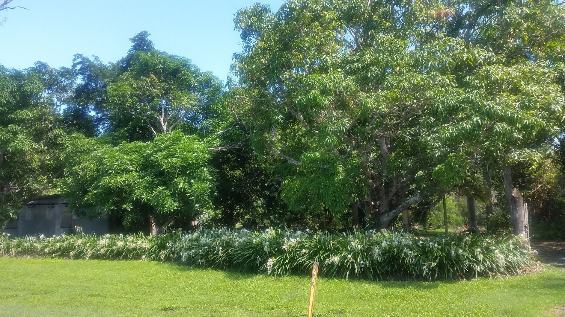 Curlew Cottage - Wildlife Haven — image 15
