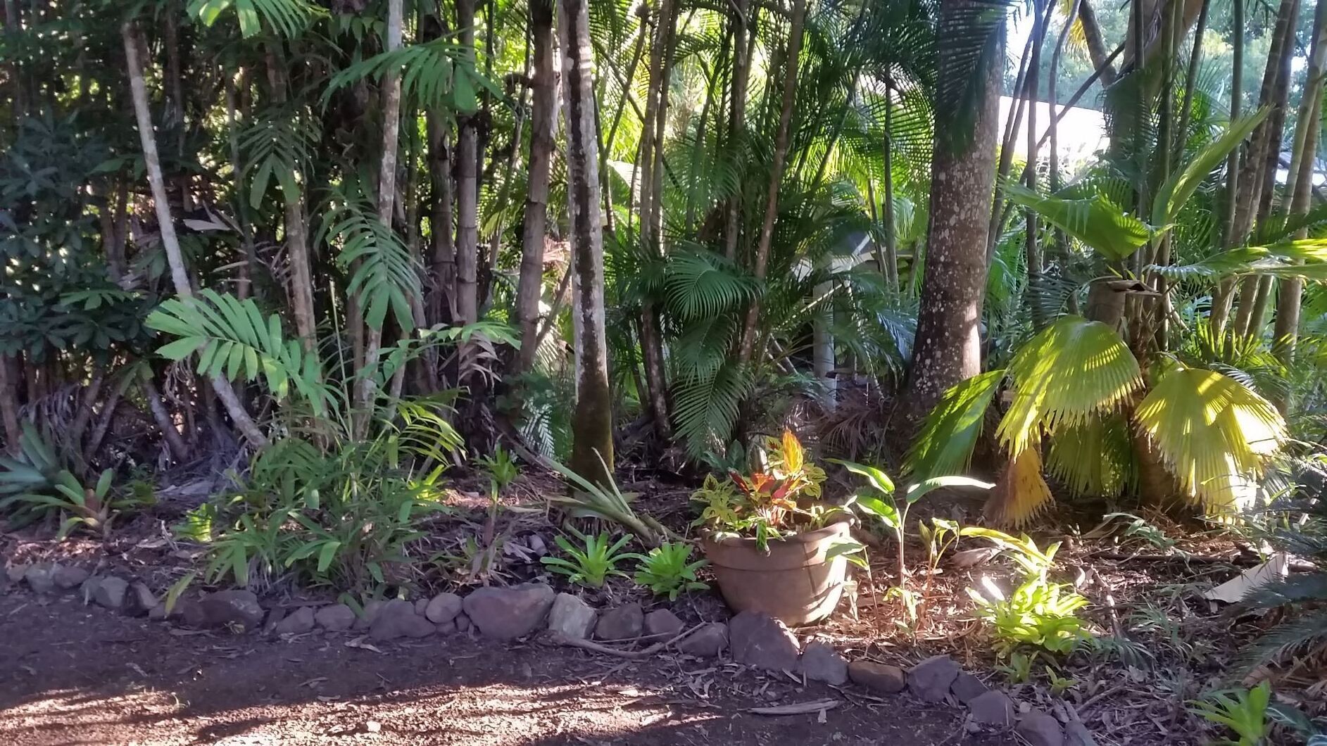 Curlew Cottage - Wildlife Haven — image 21