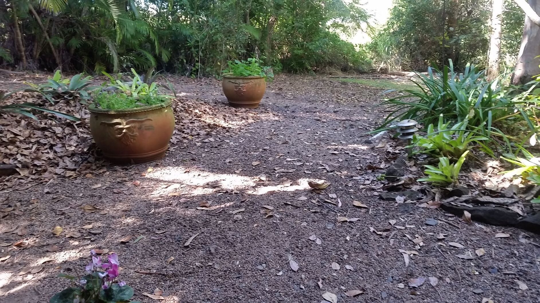 Curlew Cottage - Wildlife Haven — image 16
