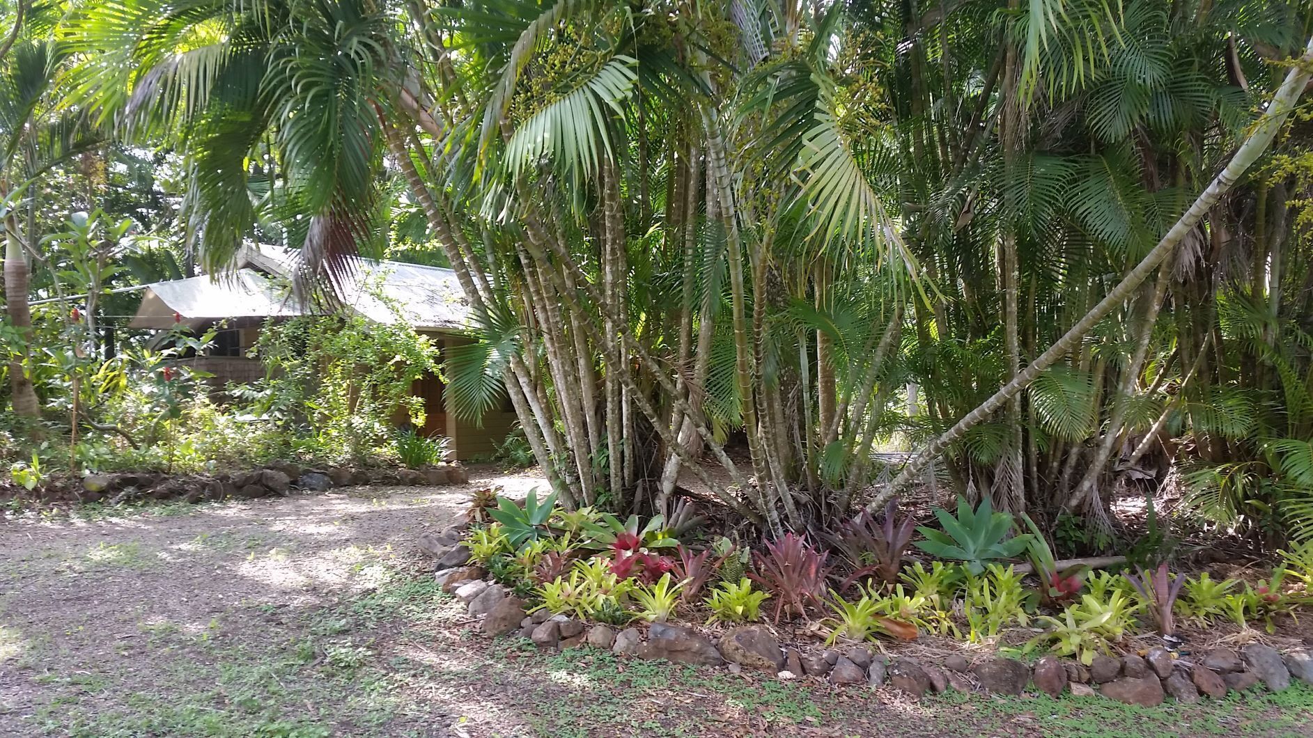 Curlew Cottage - Wildlife Haven — image 18