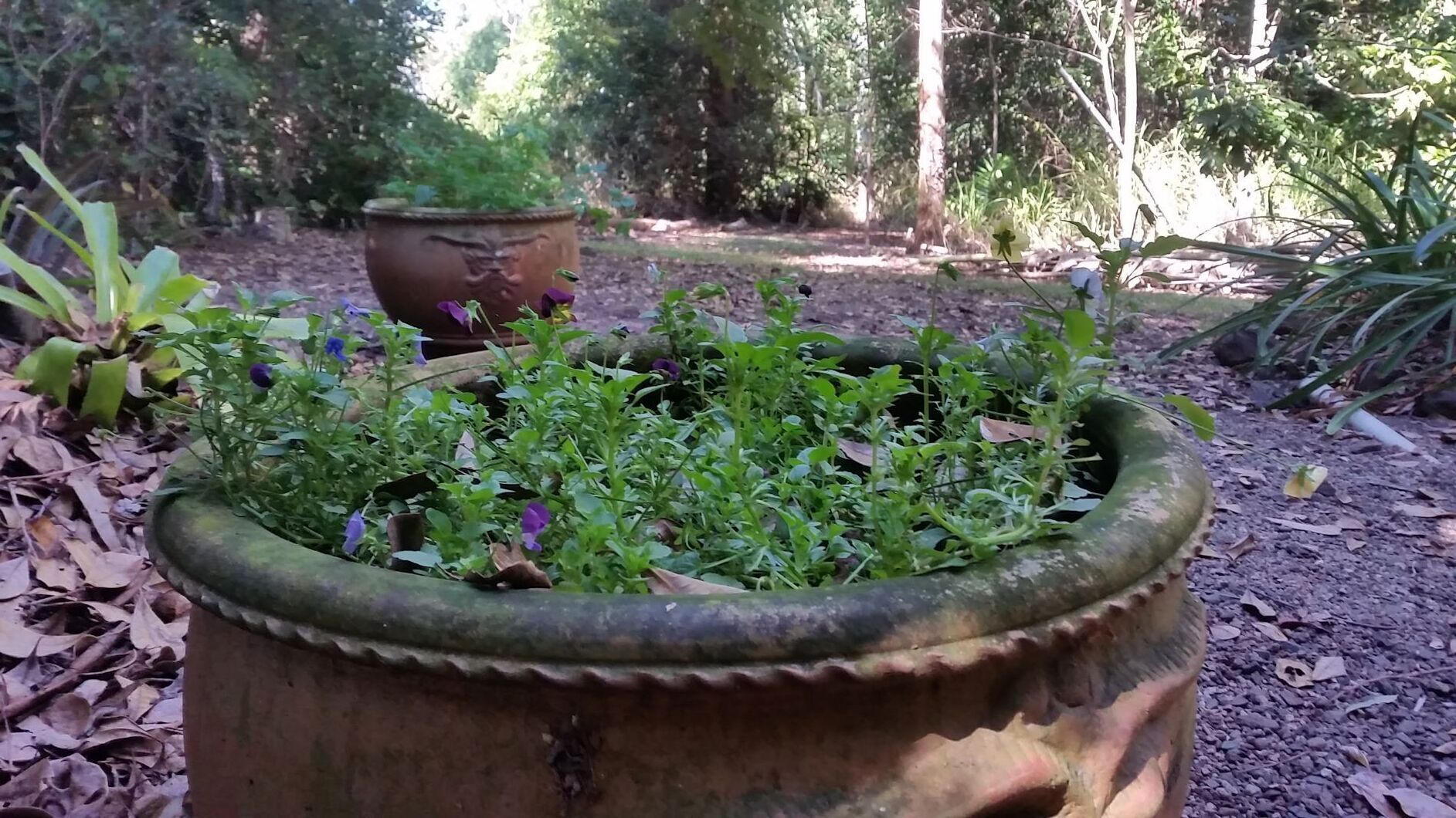 Curlew Cottage - Wildlife Haven — image 24