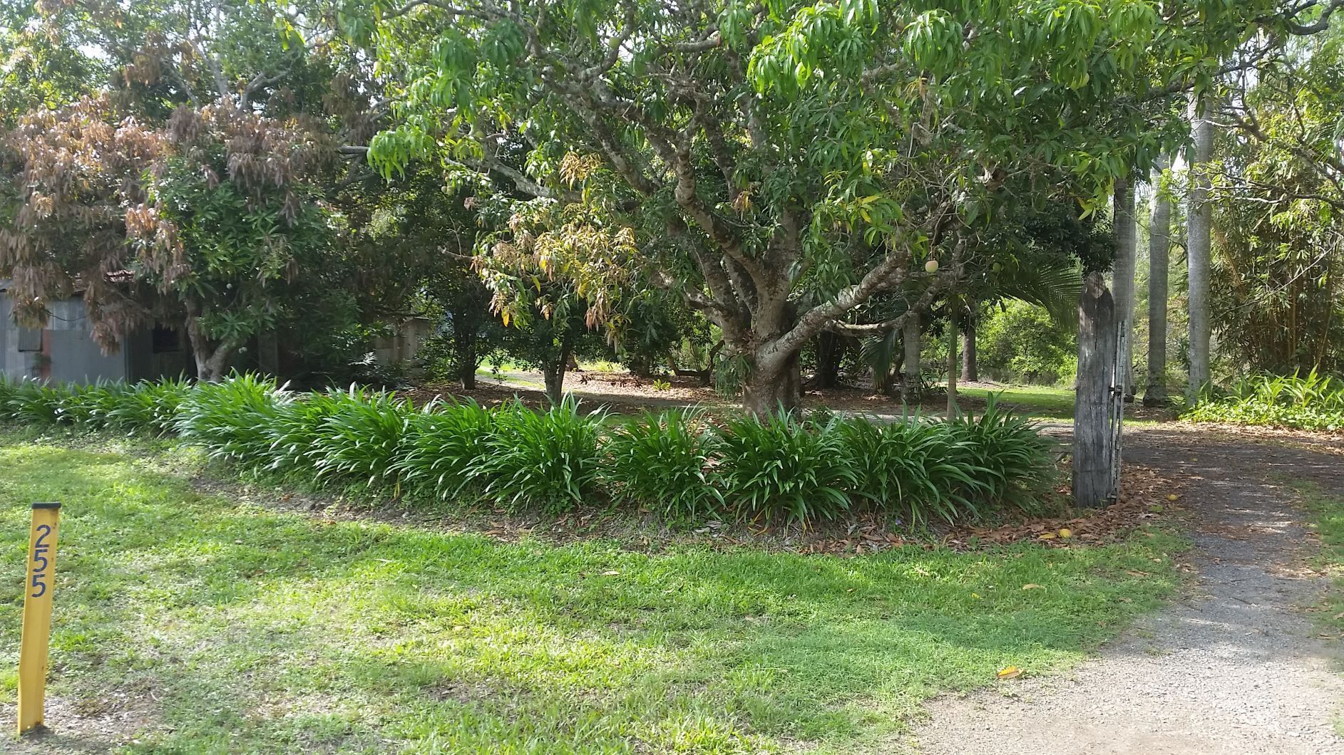 Curlew Cottage - Wildlife Haven — image 20