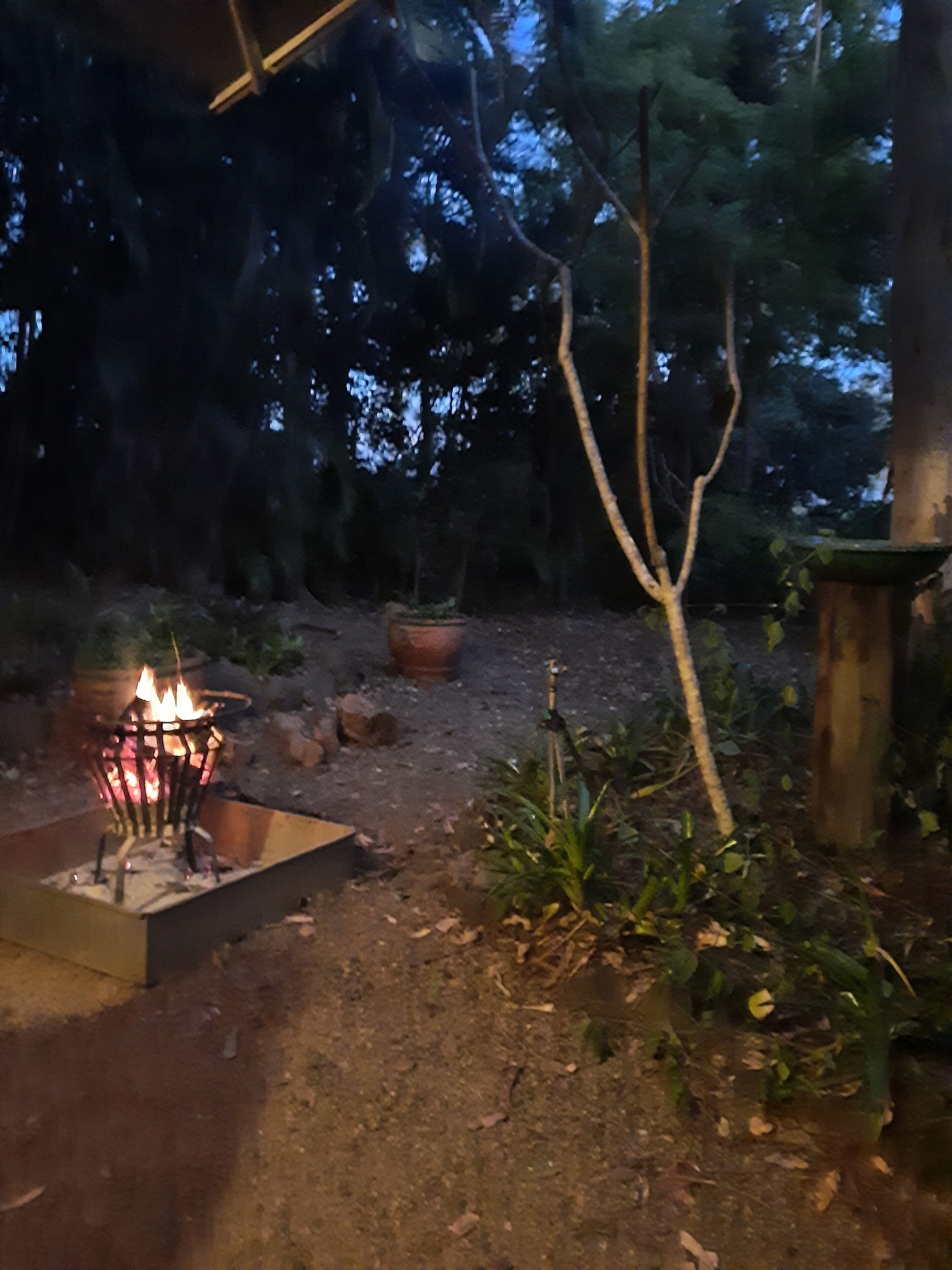 Curlew Cottage - Wildlife Haven — image 26