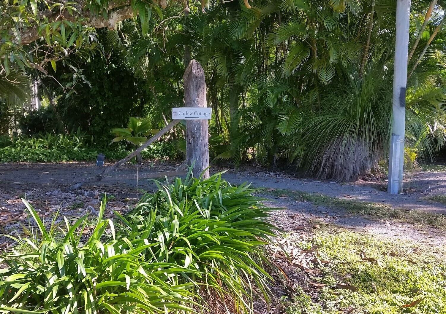 Curlew Cottage - Wildlife Haven — image 17