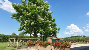 A large tree with white flowers, surrounded by red flowers in planters, and a wooden fence in a garden setting. - Agriturismo Miralduolo (Torgiano)
