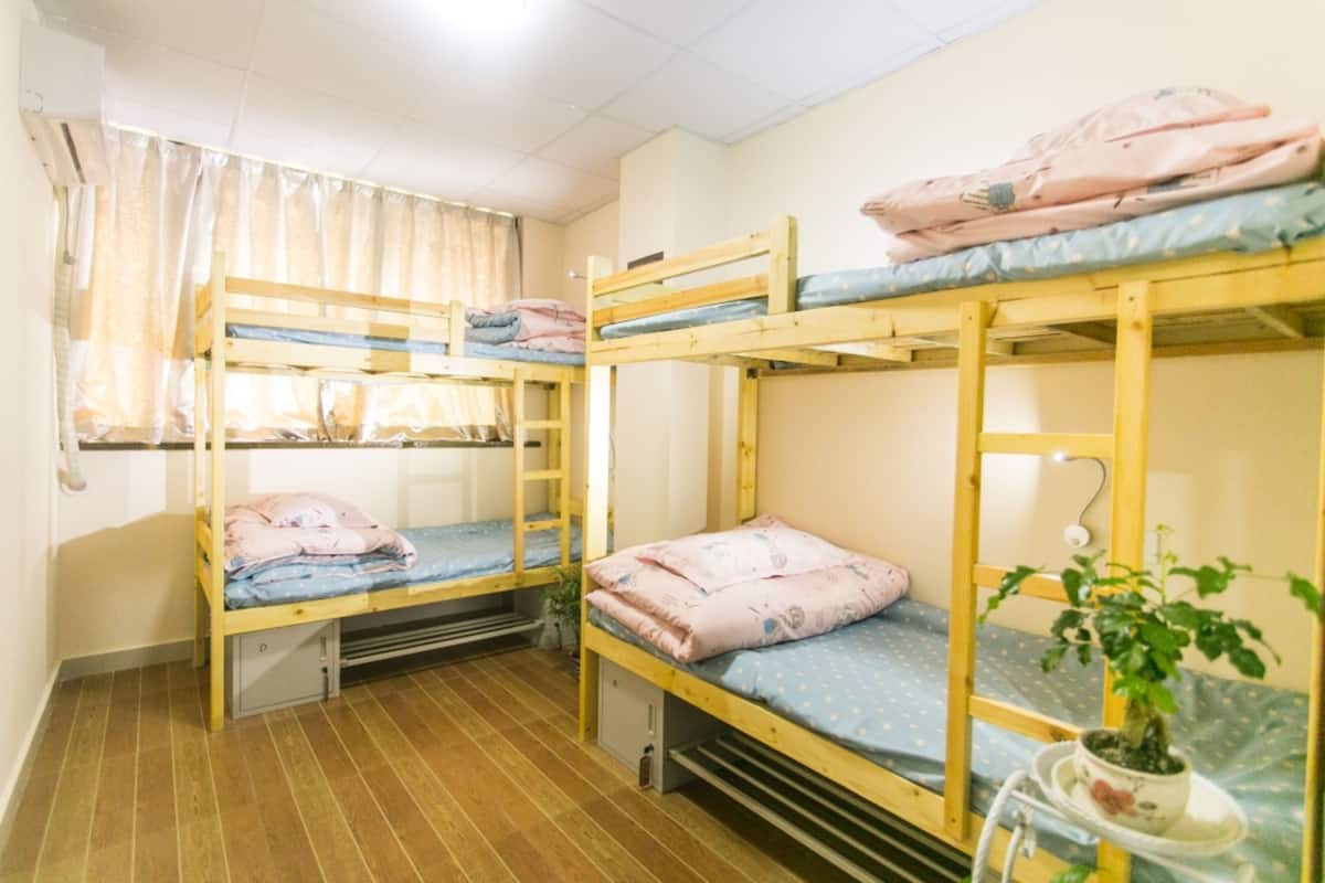 Bed in 4 -Bed Female Dormitory Room with shared bathroom | Blackout drapes, WiFi (free)