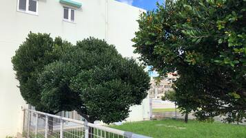 Jardin