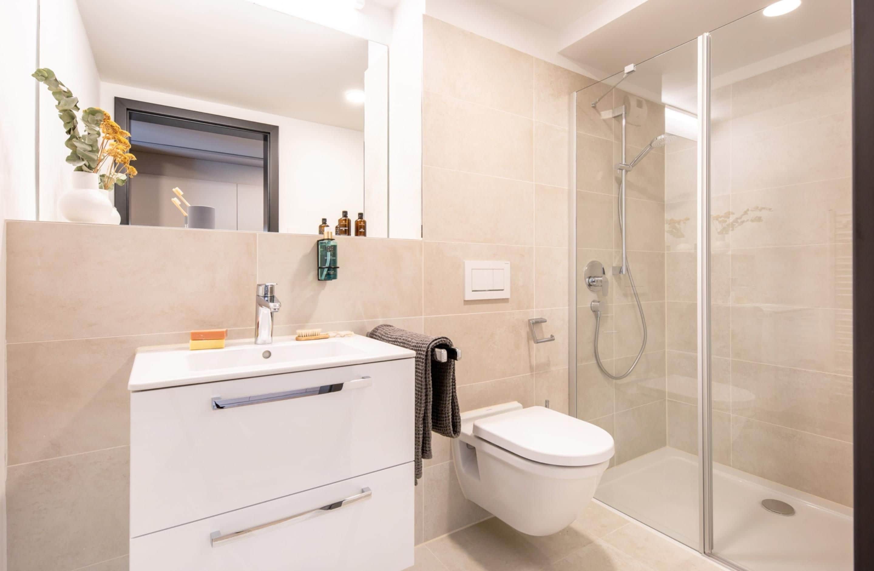 A modern bathroom with a glass shower enclosure, a white sink, and a toilet.