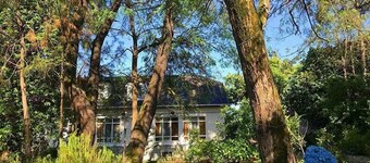 Hotel Laguna