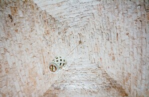 Détail de l’intérieur