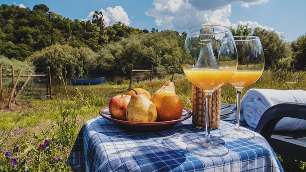 Un montaje para picnic con un mantel a cuadros, un plato de fruta y dos vasos de jugo de naranja sobre una mesa, con un campo de césped y árboles de fondo.