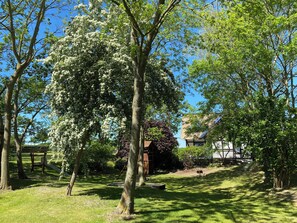 Property grounds - Landhaus Stettiner Haff, house 4 (Dargen)