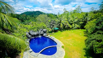 Pemandangan taman