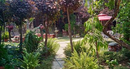 Oxygen home stay in Dehradun