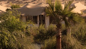 A desert landscape with a tent-like structure surrounded by palm trees and desert vegetation. - Les Dunes de Dakhla (Dakhla)