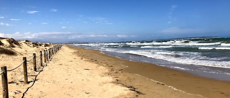 Nær stranden, solsenger og strandhåndklær