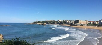 Lovely gîte nestled amongst vineyards and sunflower fields in SW France.